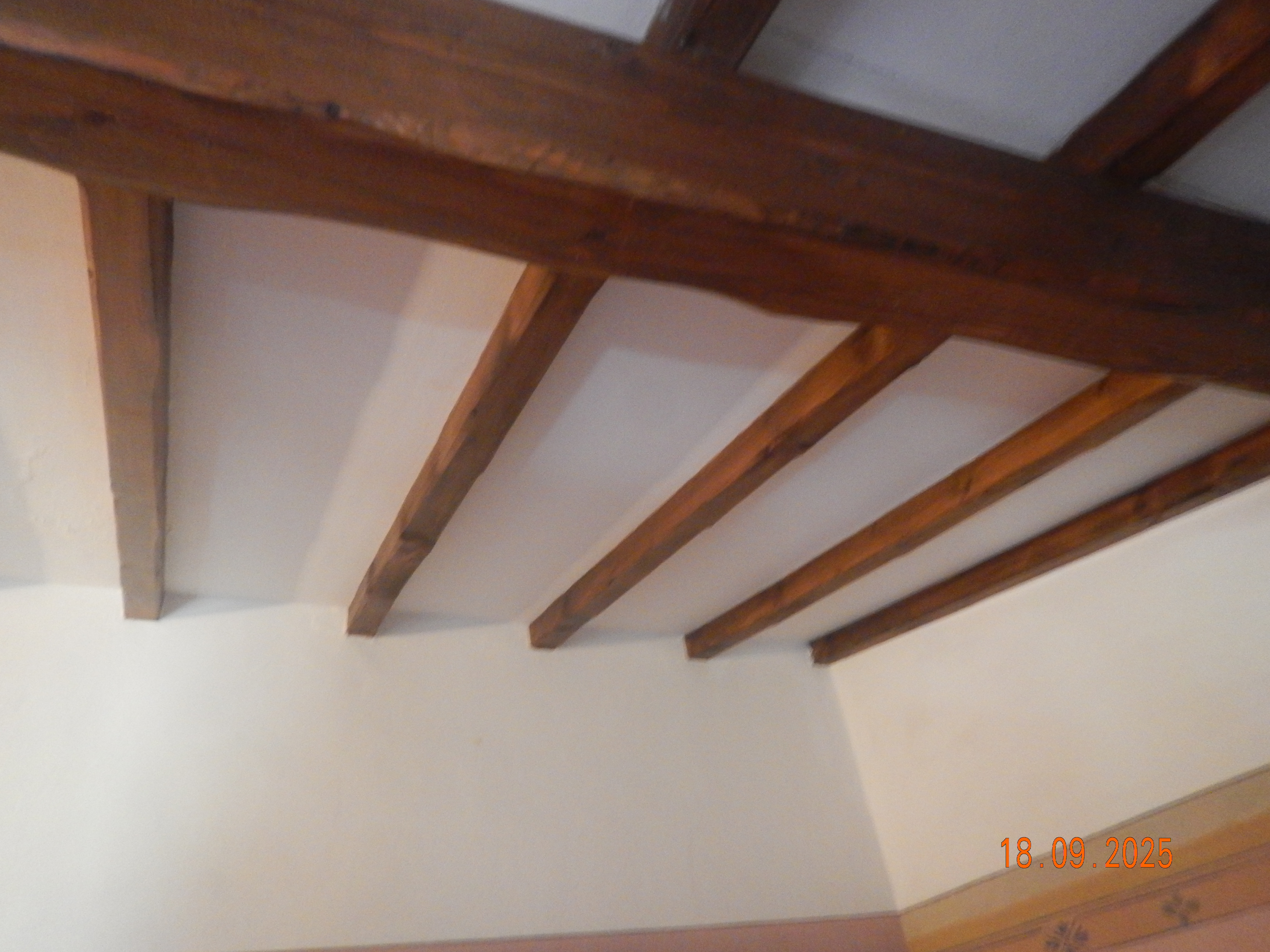 DSCN7242.JPG