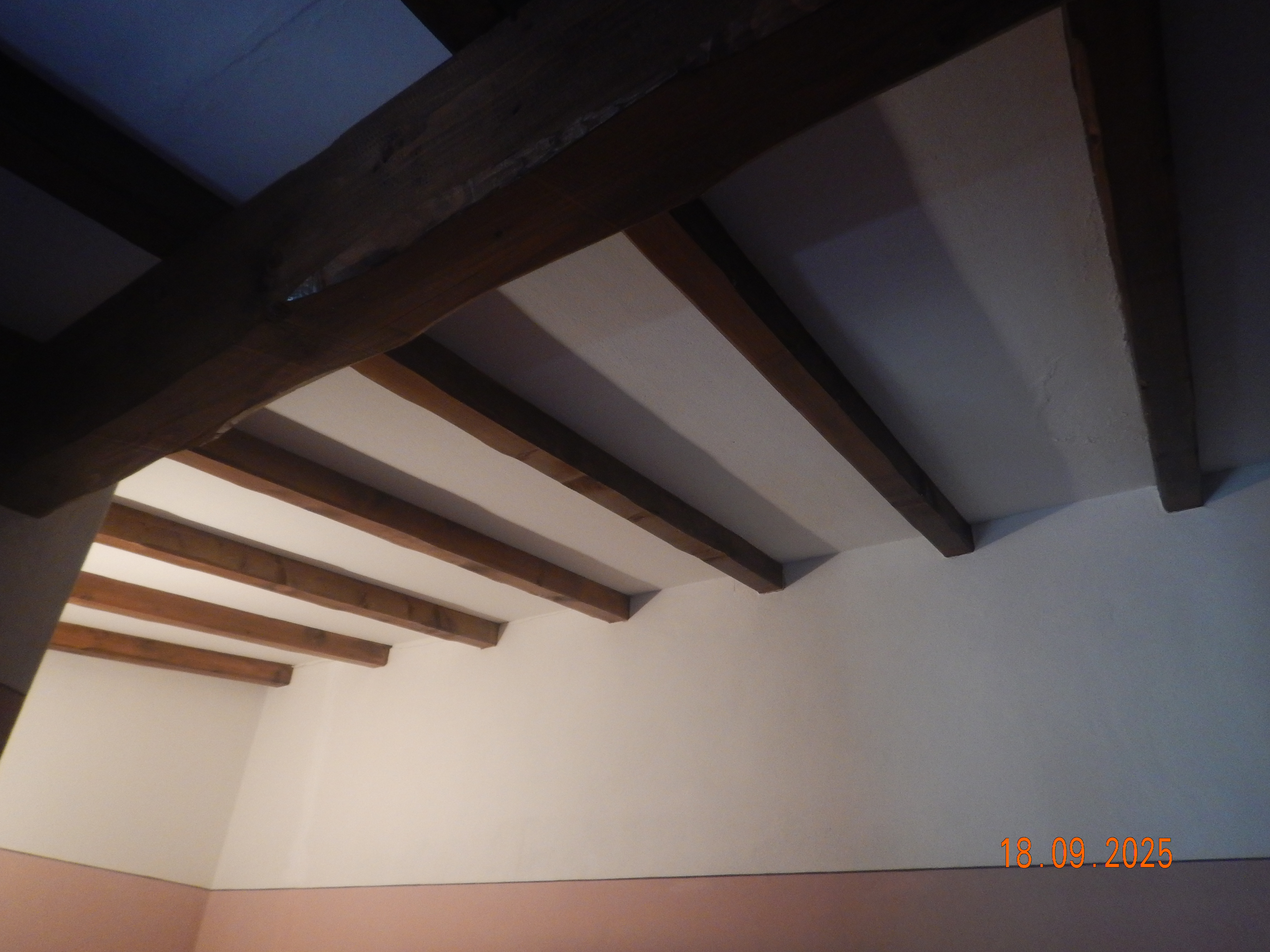DSCN7243.JPG