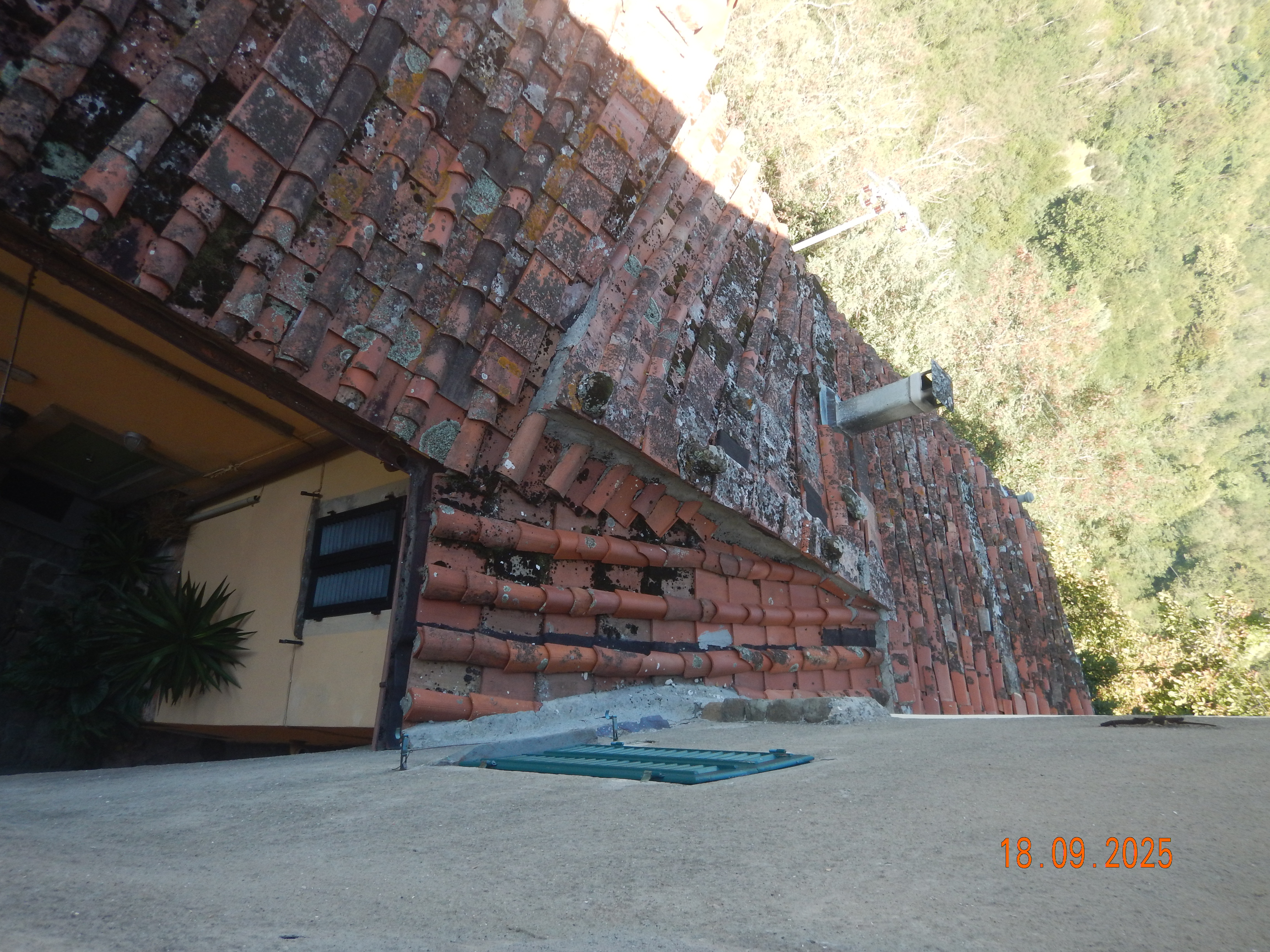 DSCN7230.JPG