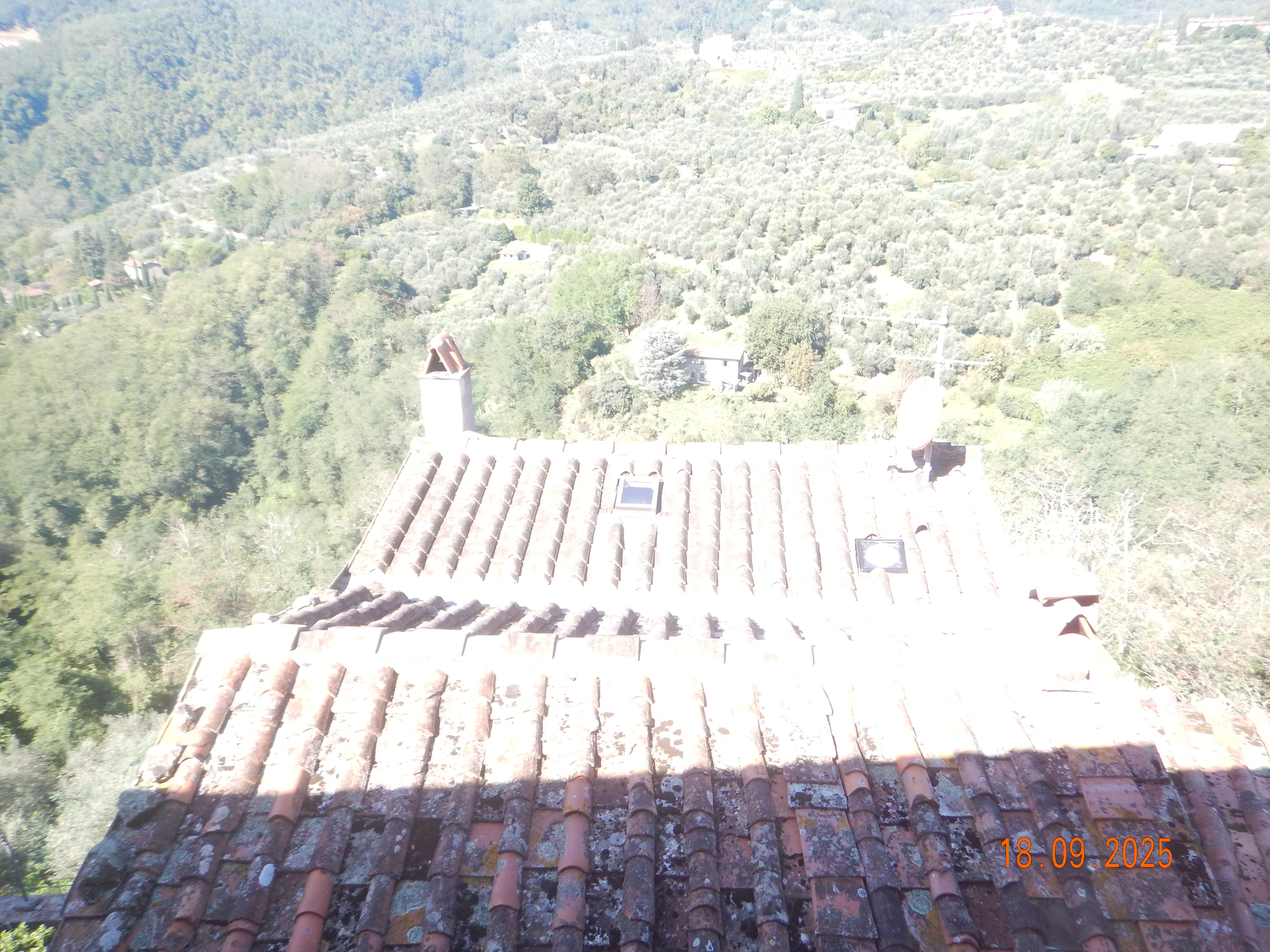 DSCN7231.JPG