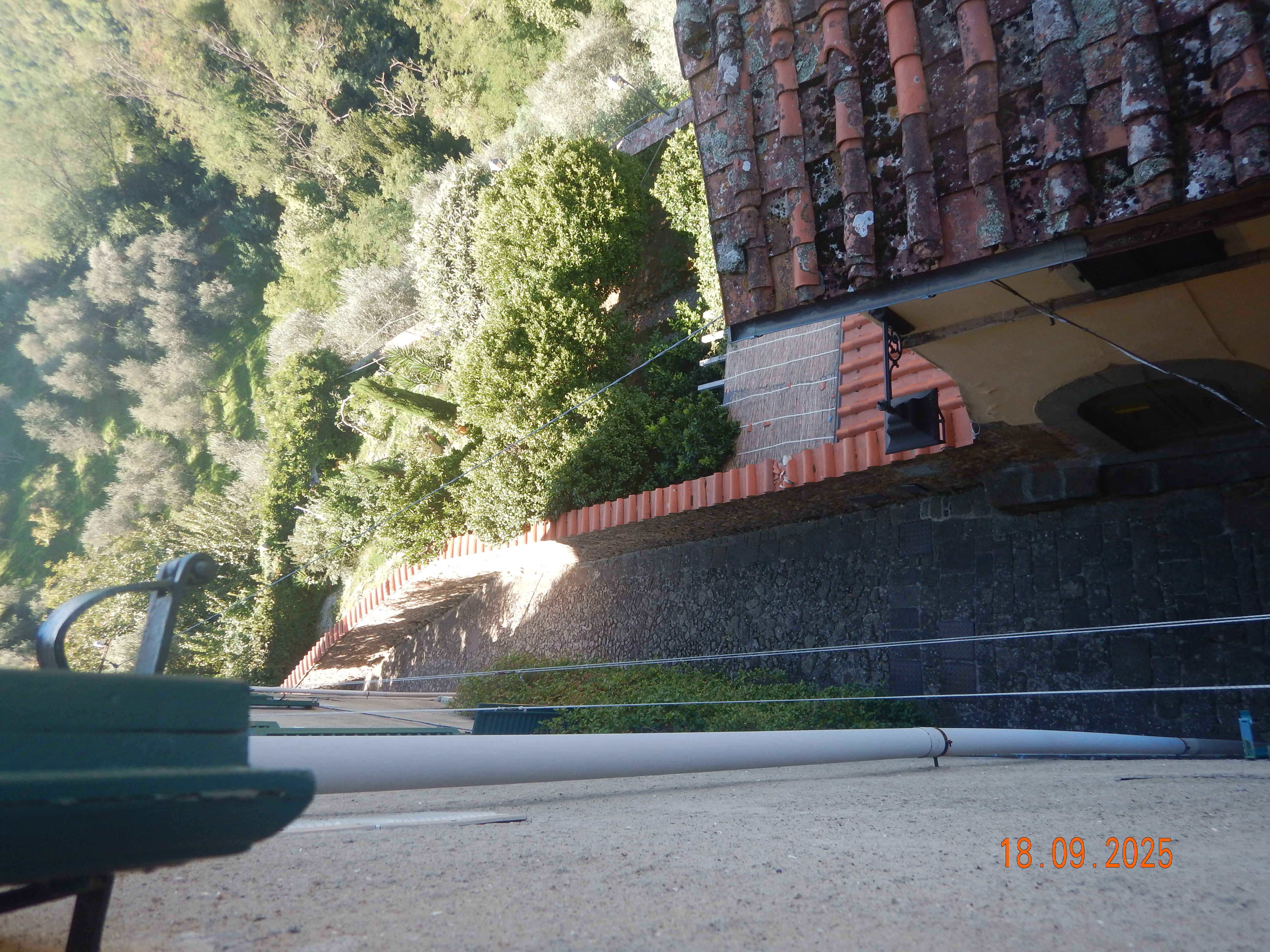 DSCN7232.JPG