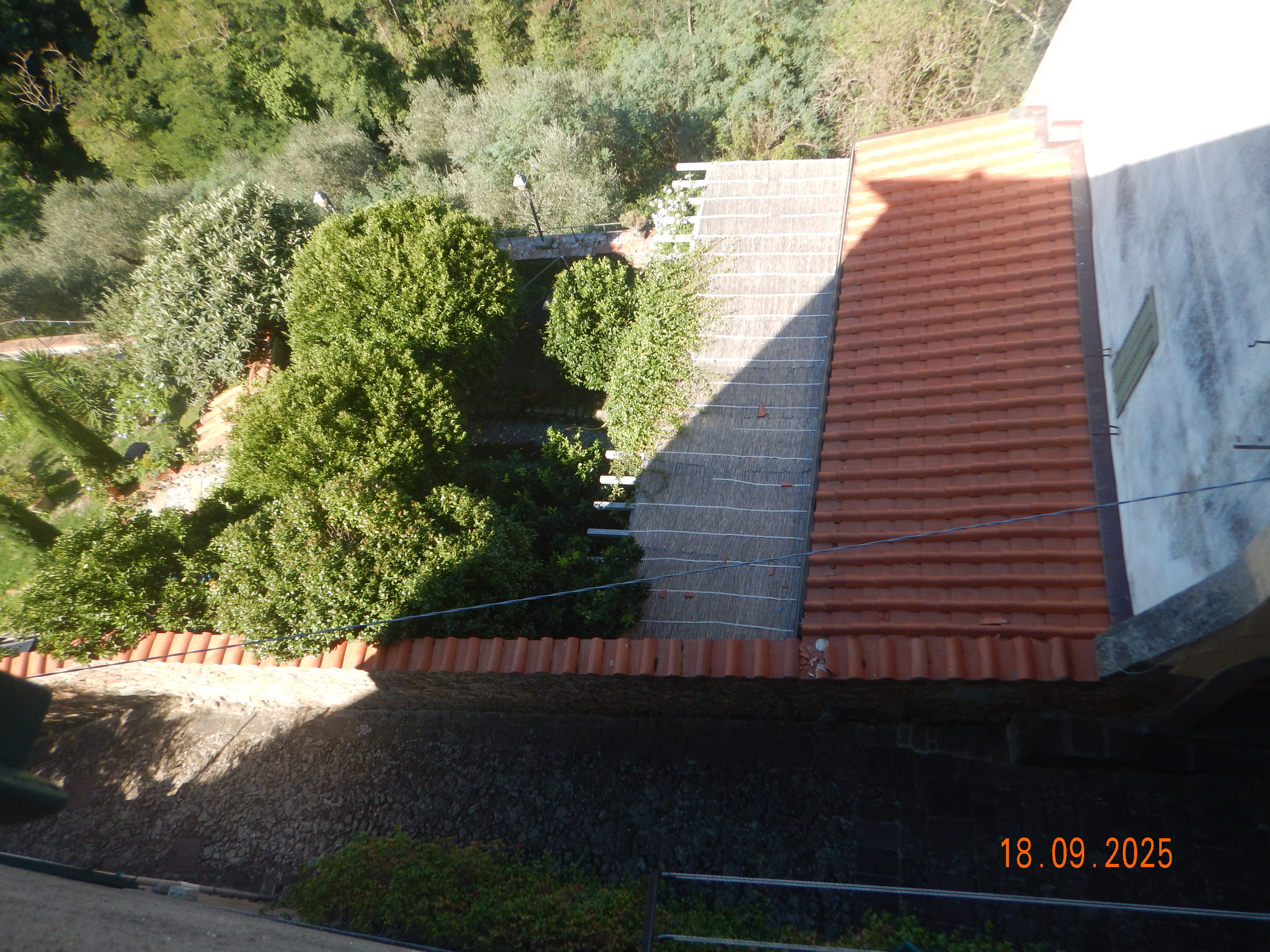 DSCN7233.JPG