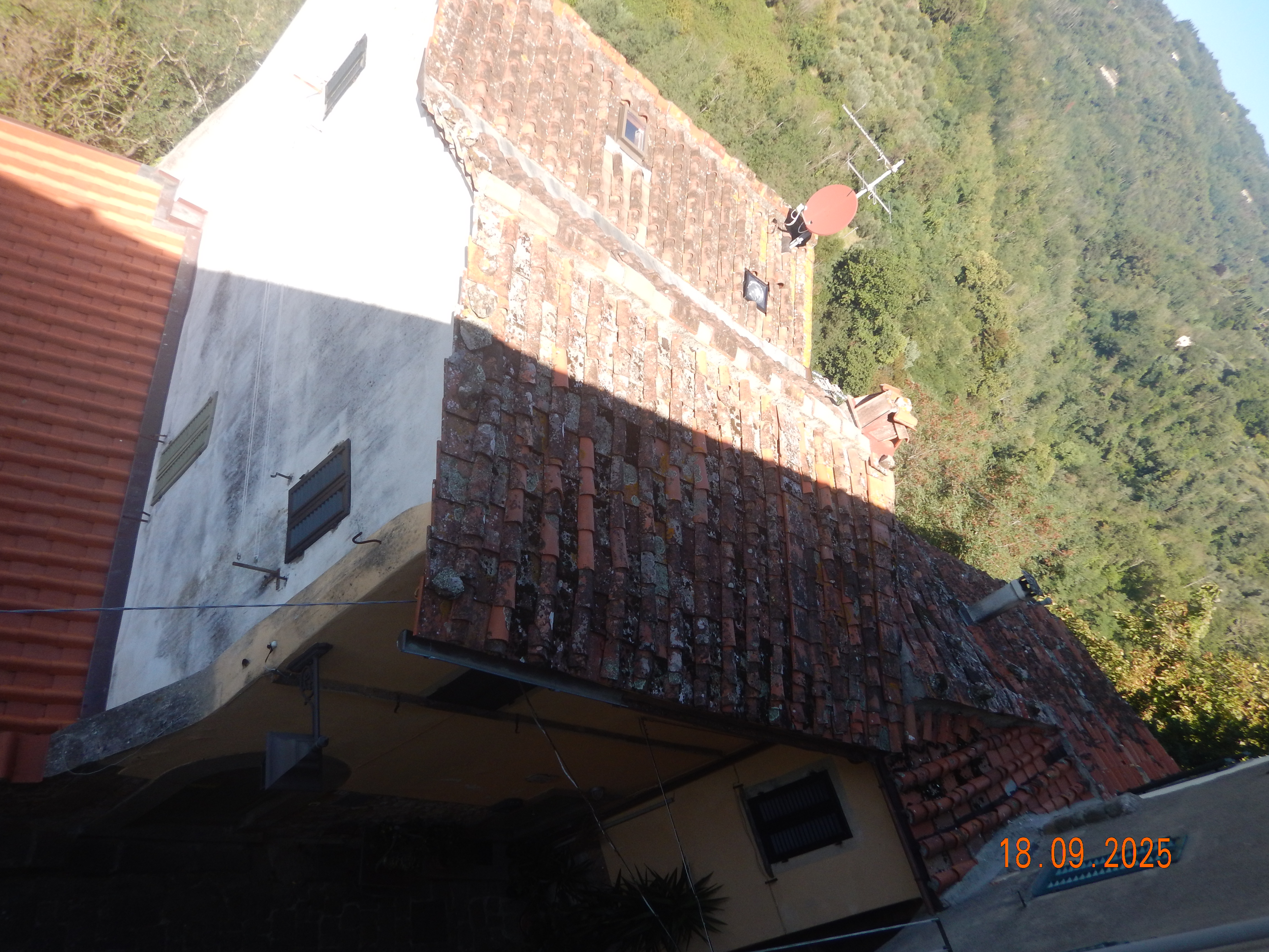 DSCN7234.JPG