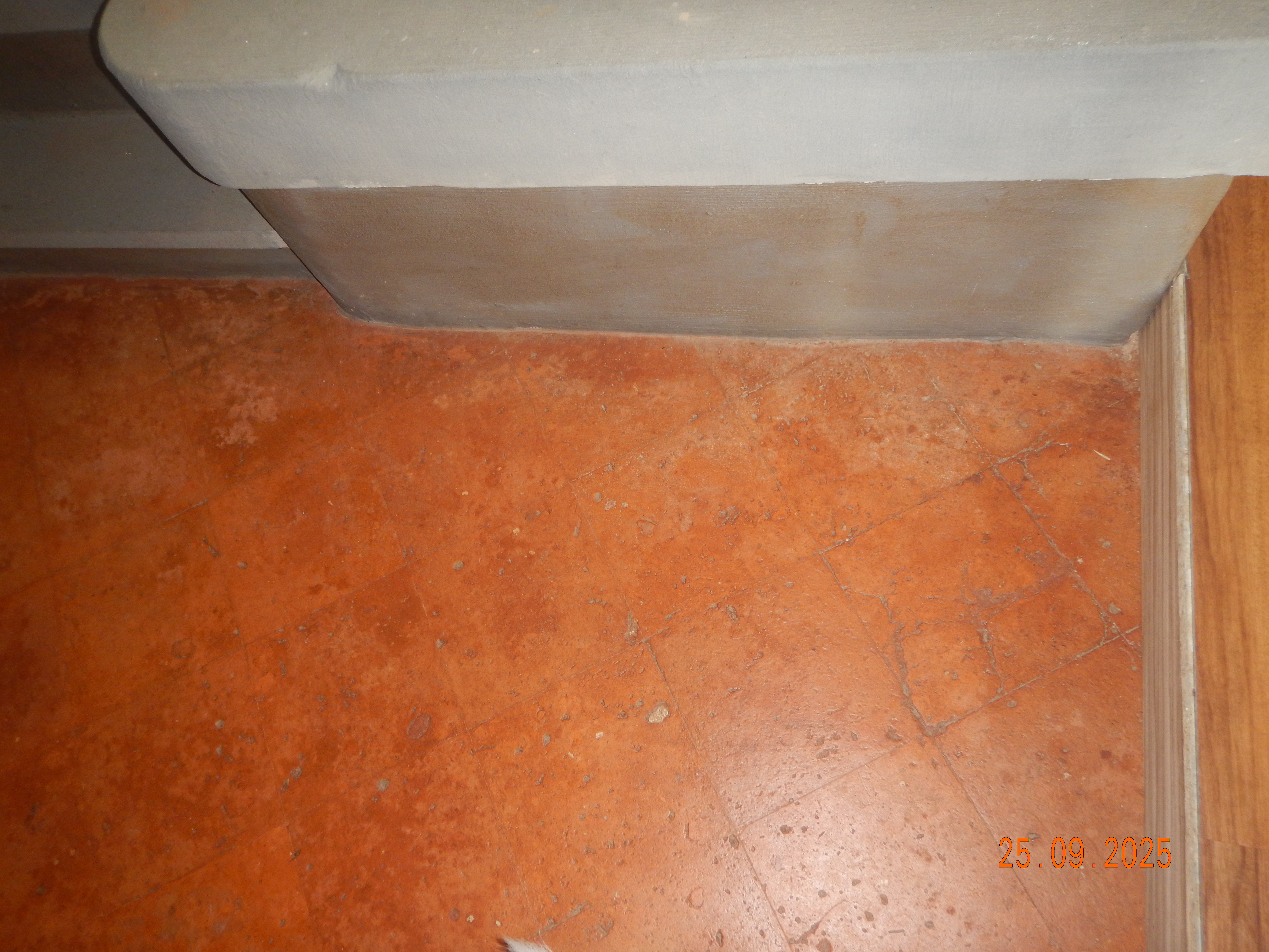 DSCN7420.JPG