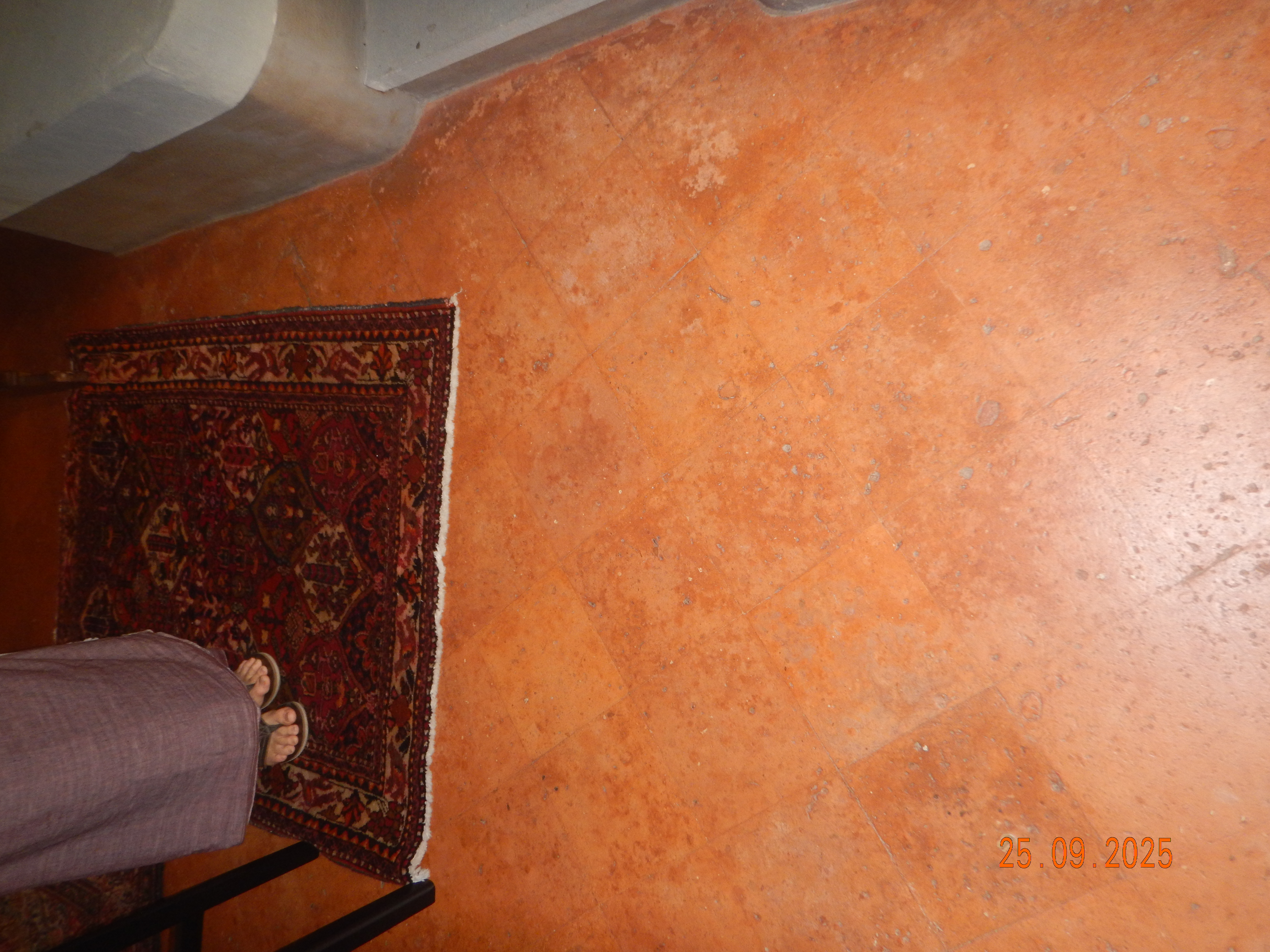 DSCN7421.JPG