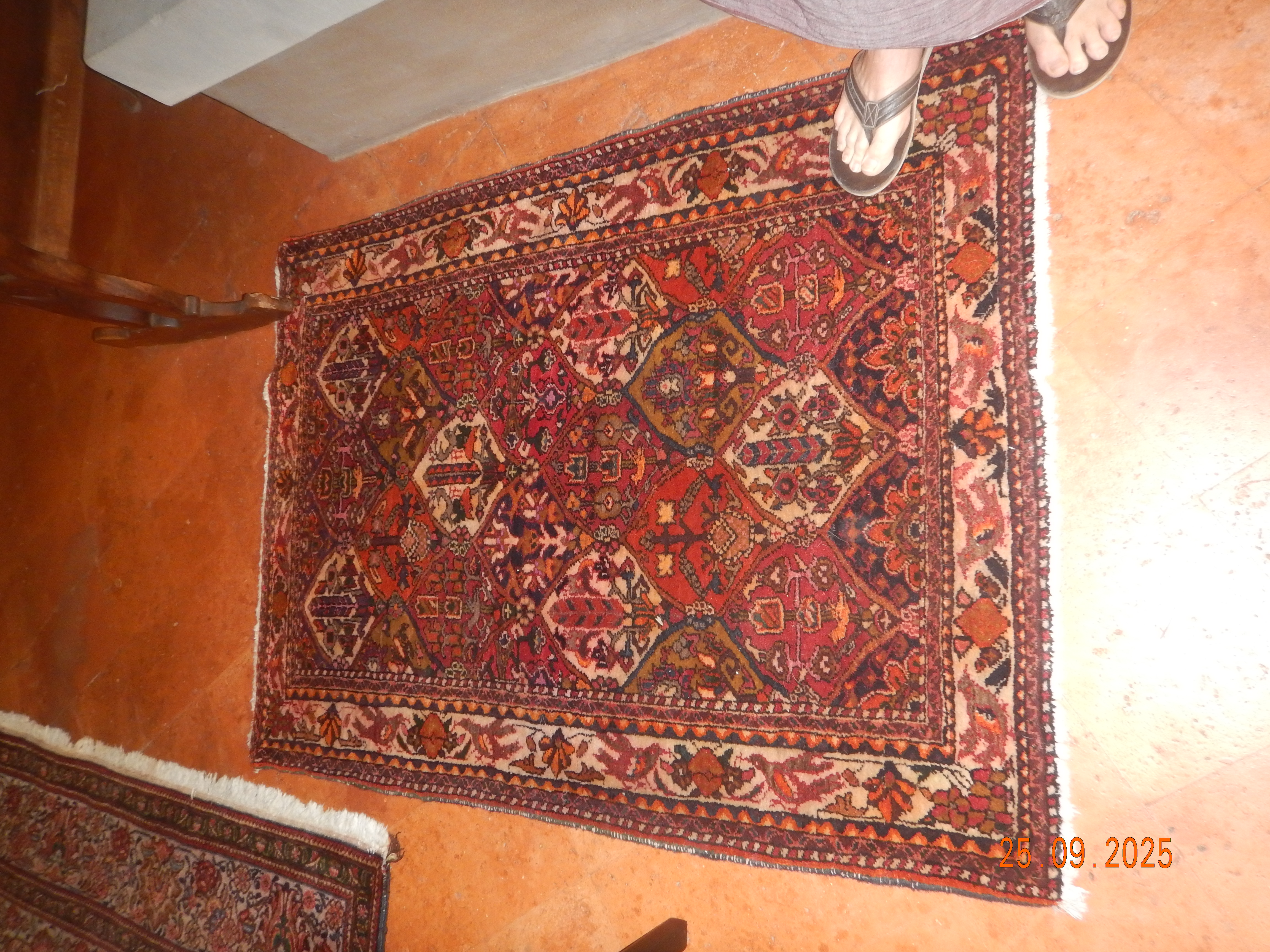 DSCN7424.JPG
