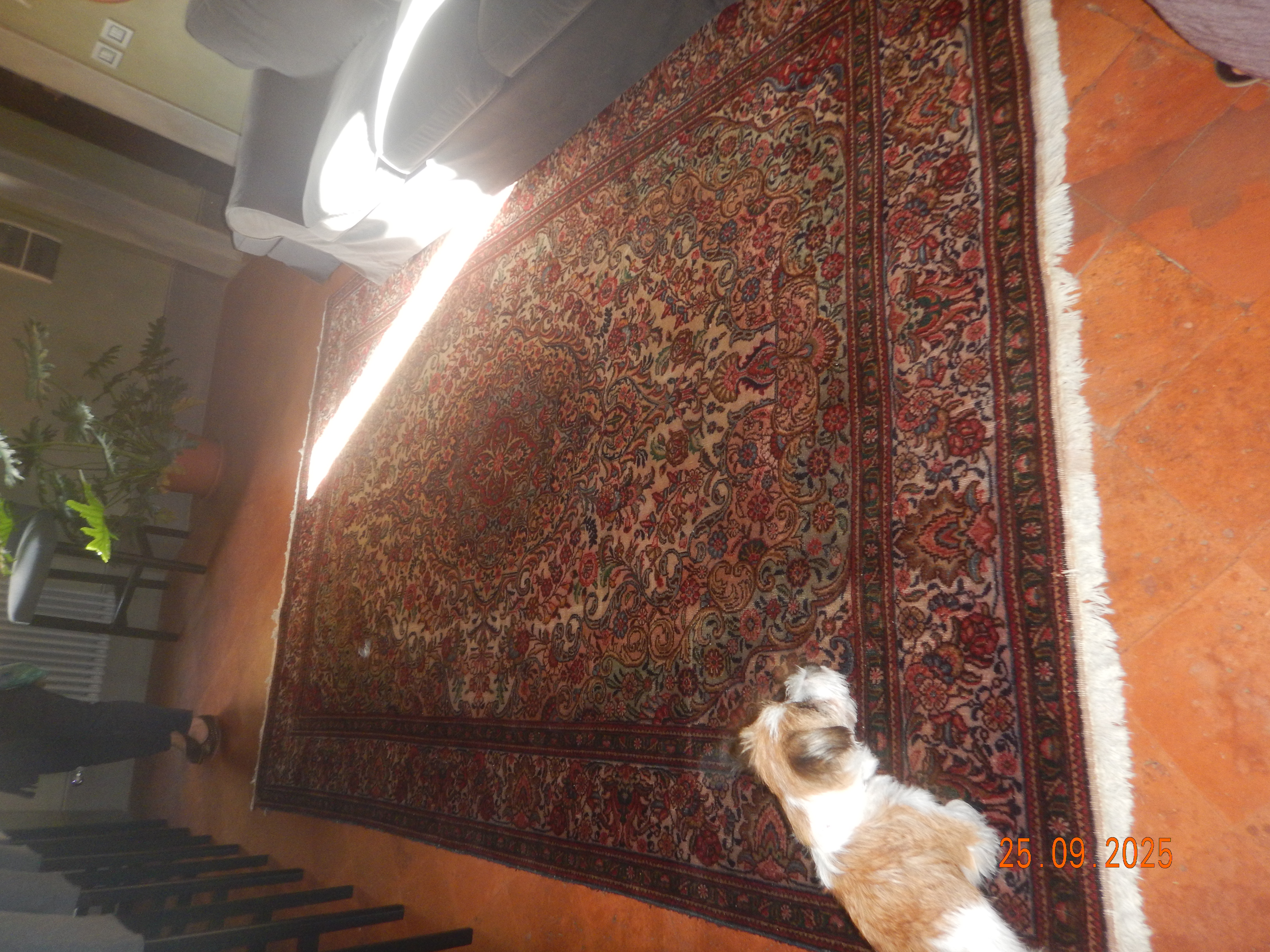DSCN7425.JPG